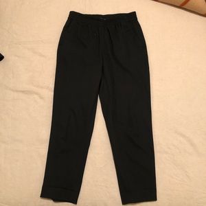 Everlane Italian Go Weave Easy Pant